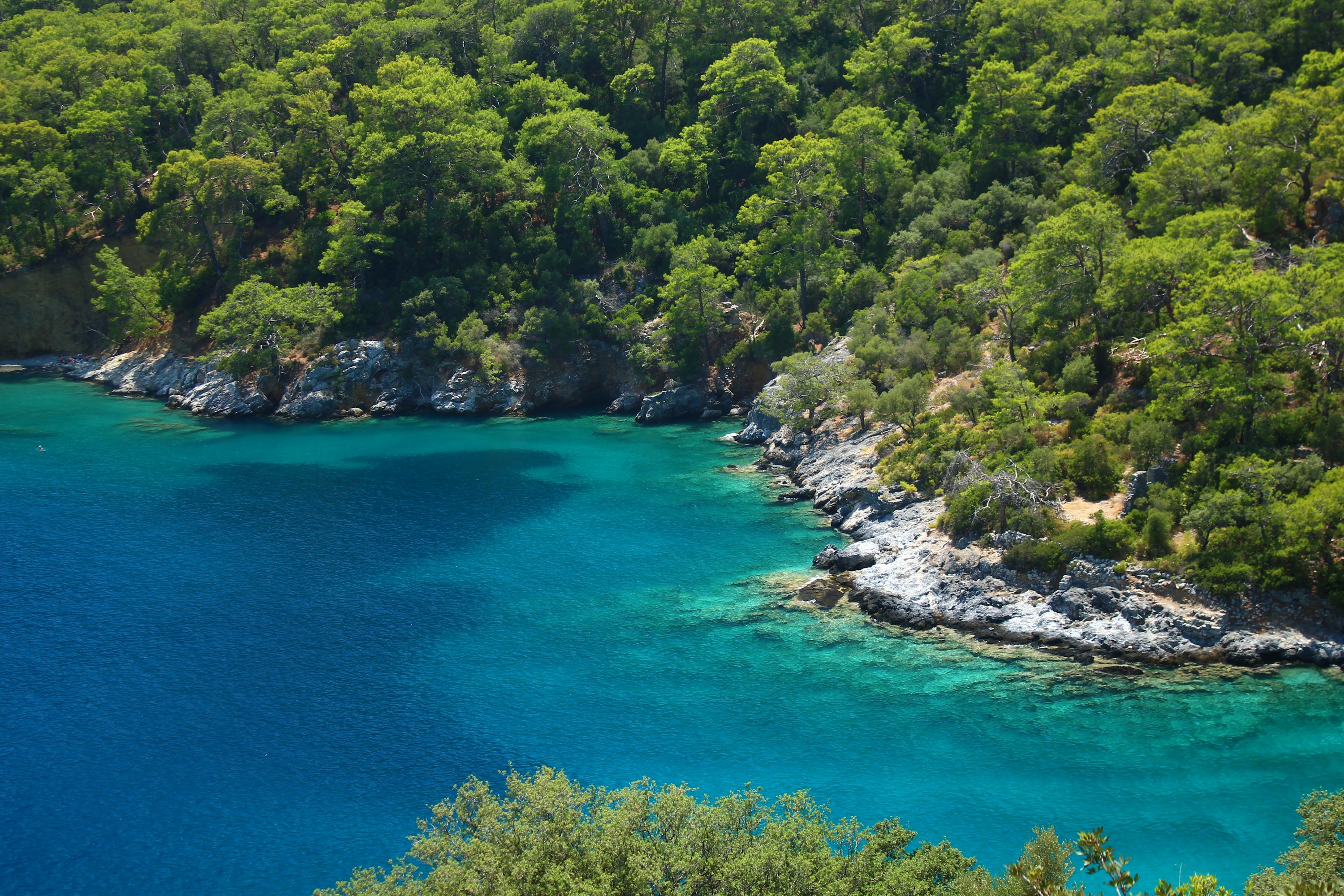 Sunlit turquoise water along a peaceful green coastline